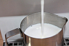 Автоматический вспениватель молока EasySystem ES-01.1.1 фото
