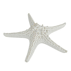 Блюдо для подачи P.L. Proff Cuisine 24 см h6 см Звезда Gray Starfish Frutti di Mare (81222311) в Санкт-Петербурге, фото 3