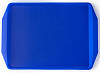 Поднос Мастергласс 1732-123 42х30 см, голубой фото