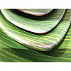 Блюдо овальное Лист P.L. Proff Cuisine 23*13 см Green Banana Leaf пластик меламин фото