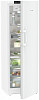 Холодильник Liebherr RBd 5250 фото