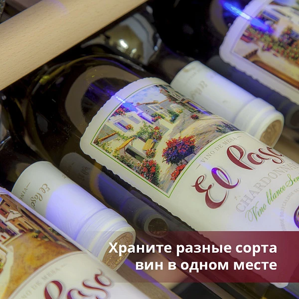 Винный шкаф Cold Vine C38-KSF2 фото