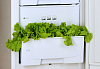 Двухкамерный холодильник Pozis RD-149 A графитовый фото