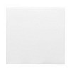 Салфетка бумажная двухслойная Garcia de Pou Double Point белая, 39*39 см, 50 шт фото