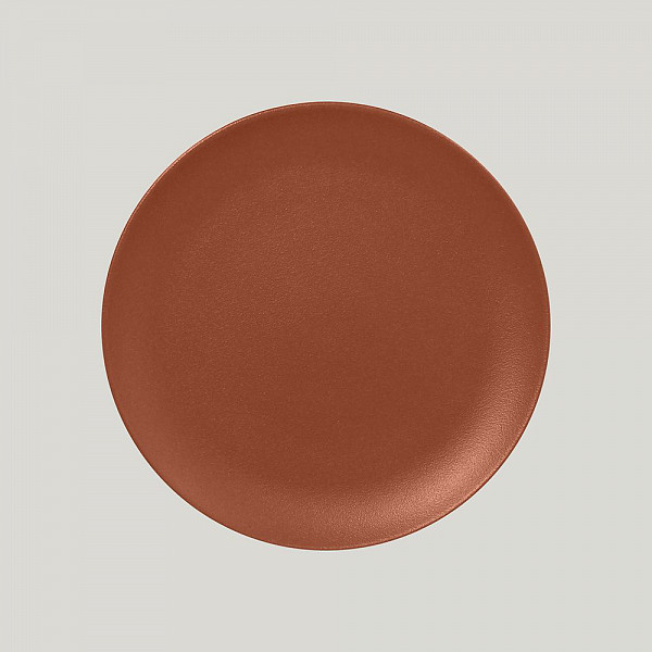 Тарелка круглая плоская RAK Porcelain Neofusion Terra 27 см (терракотовый цвет) фото