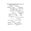 Шестерня привода верхней оси Foodatlas для JGL-135 (50 зубьев) фото