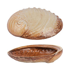 Салатник P.L. Proff Cuisine 365 мл 19*14,5 см h5 см Pearl Ammonite Shell Frutti di Mare (81241256) в Санкт-Петербурге, фото 4