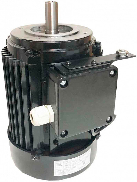Двигатель Торгмаш SEg71-4B 3681 220В (0,75/1320 D1-19, D20-100, IP54) МИМ-150-01,ПЛМ-160 фото