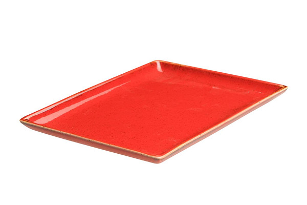 Блюдо прямоугольное Porland 21х27 см фарфор цвет красный Seasons (358827) фото