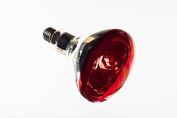 Лампа инфракрасная 250Вт Fimar арт.SL0681 в Санкт-Петербурге, фото