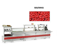 Presto (1500мм) - малина фото