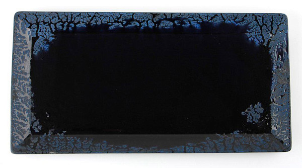 Тарелка прямоугольная Porland 32 см, Root Blue (118732) фото