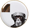 Тарелка мелкая Porland 20 см Wild Life Monkey (162920) фото