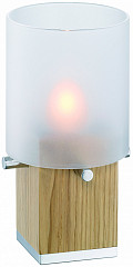 Настольная лампа малая WMF 55.0075.6140 Pure Exclusiv Nature в Санкт-Петербурге фото