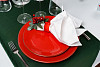 Блюдо прямоугольное Porland 21х27 см фарфор цвет красный Seasons (358827) фото