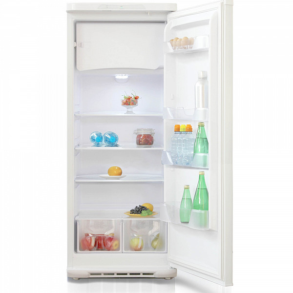 Холодильник Бирюса 237 фото